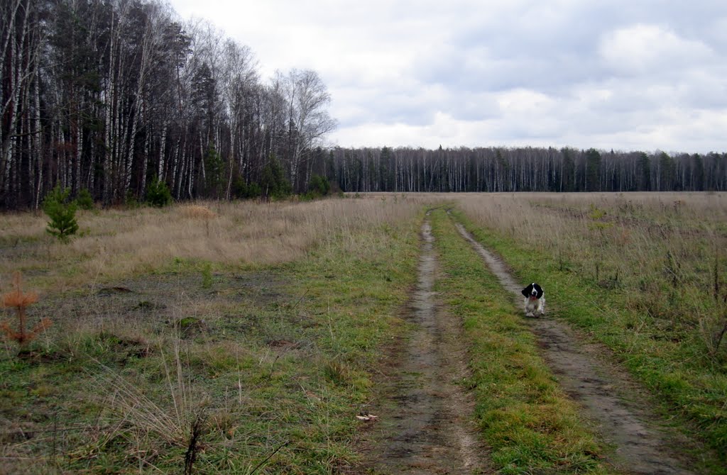 Коробята. Поле.