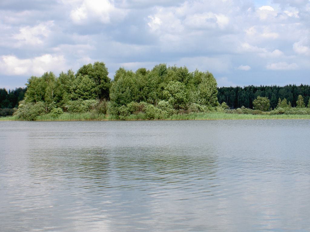eg1