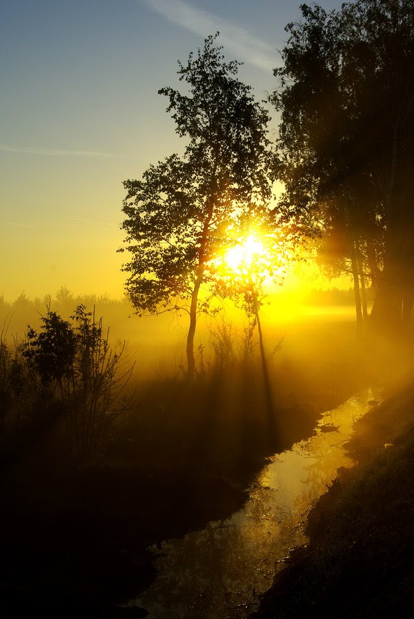 Golden Sunrise