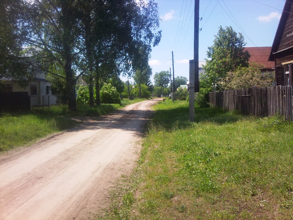 д. Орлы