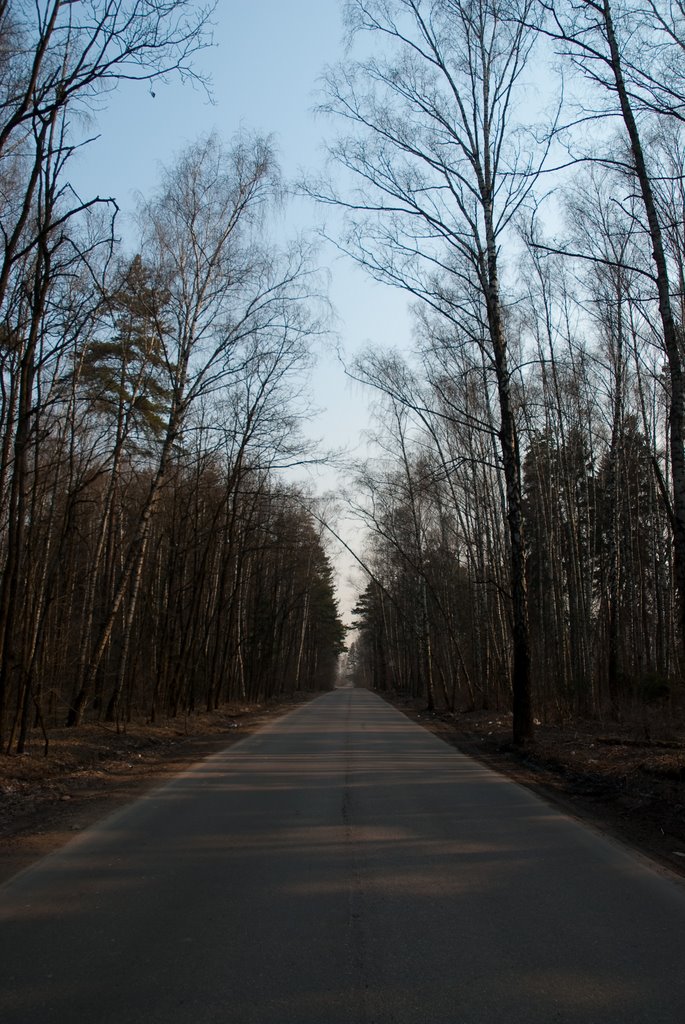 Spring Morning / East View / Trehgorka / Russia / 2009