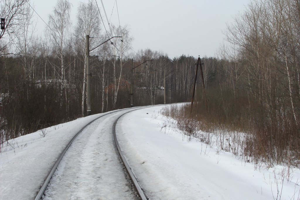 Одинцовский район, Московская область