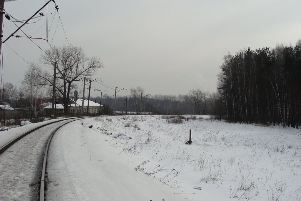 Ромашково