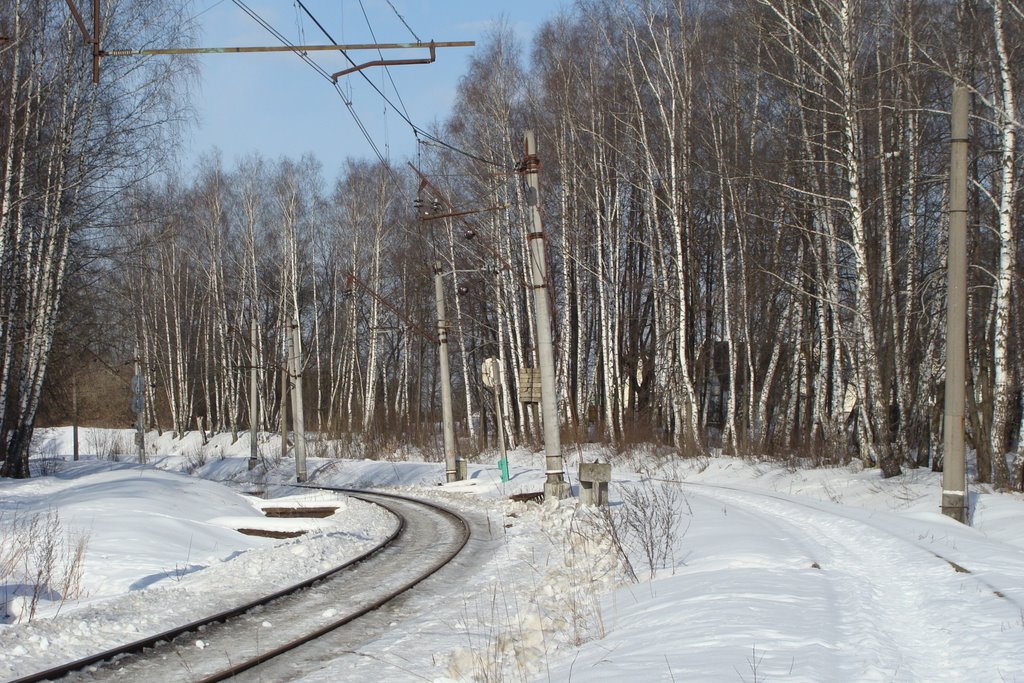 Ромашково