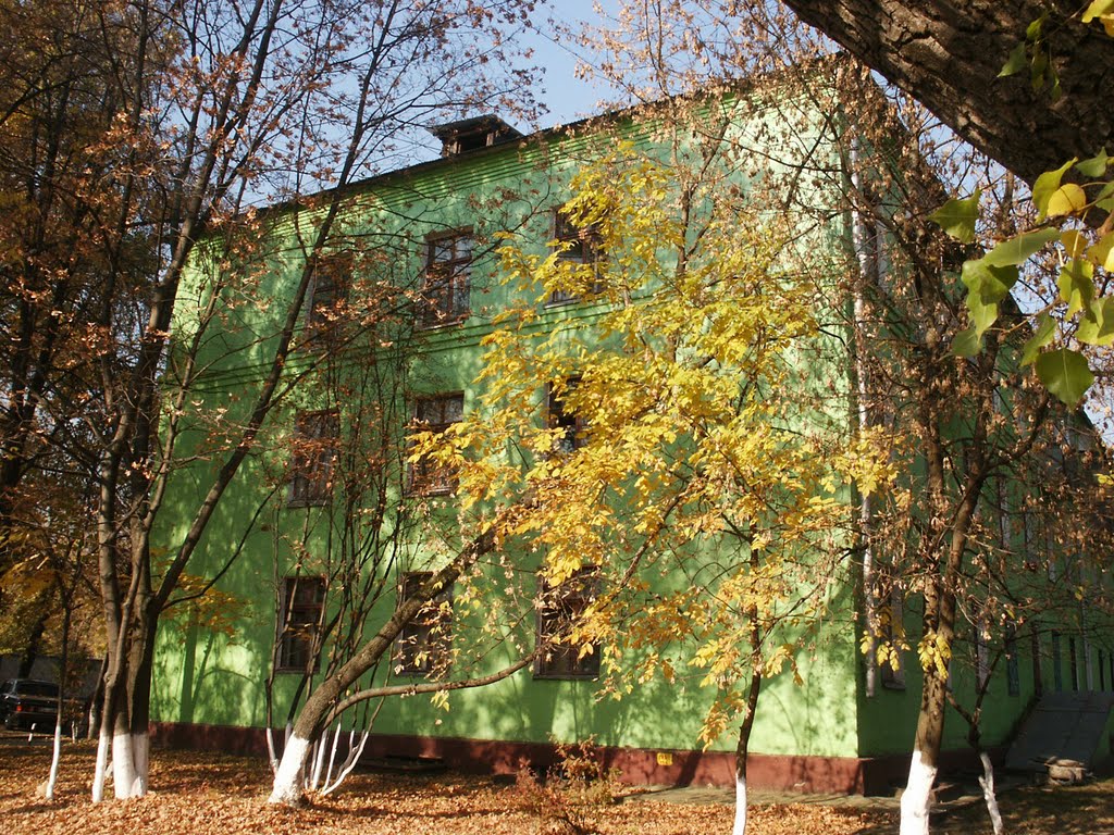 Дом в Новоивановском. House in Novoivanovskoe