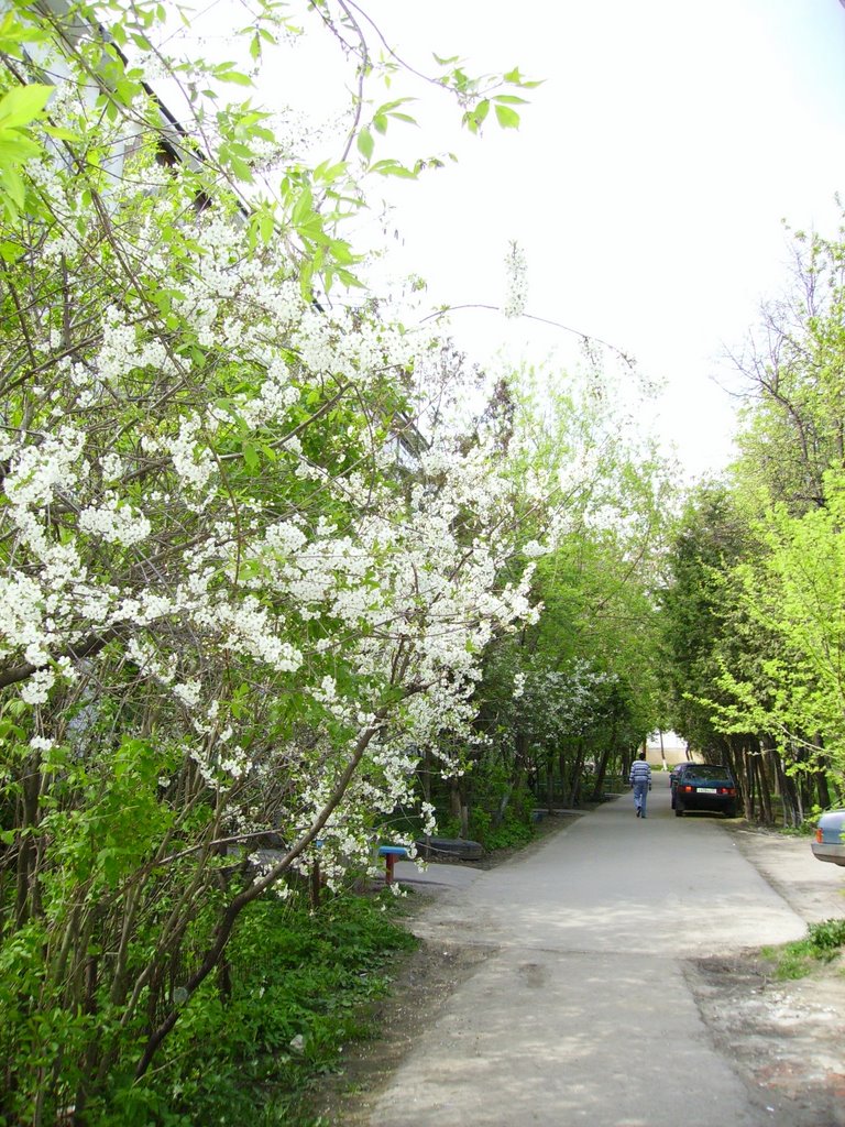 Весна