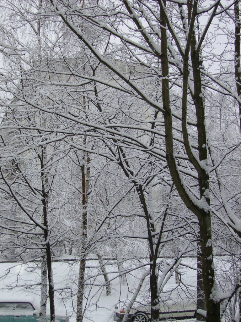 Зима