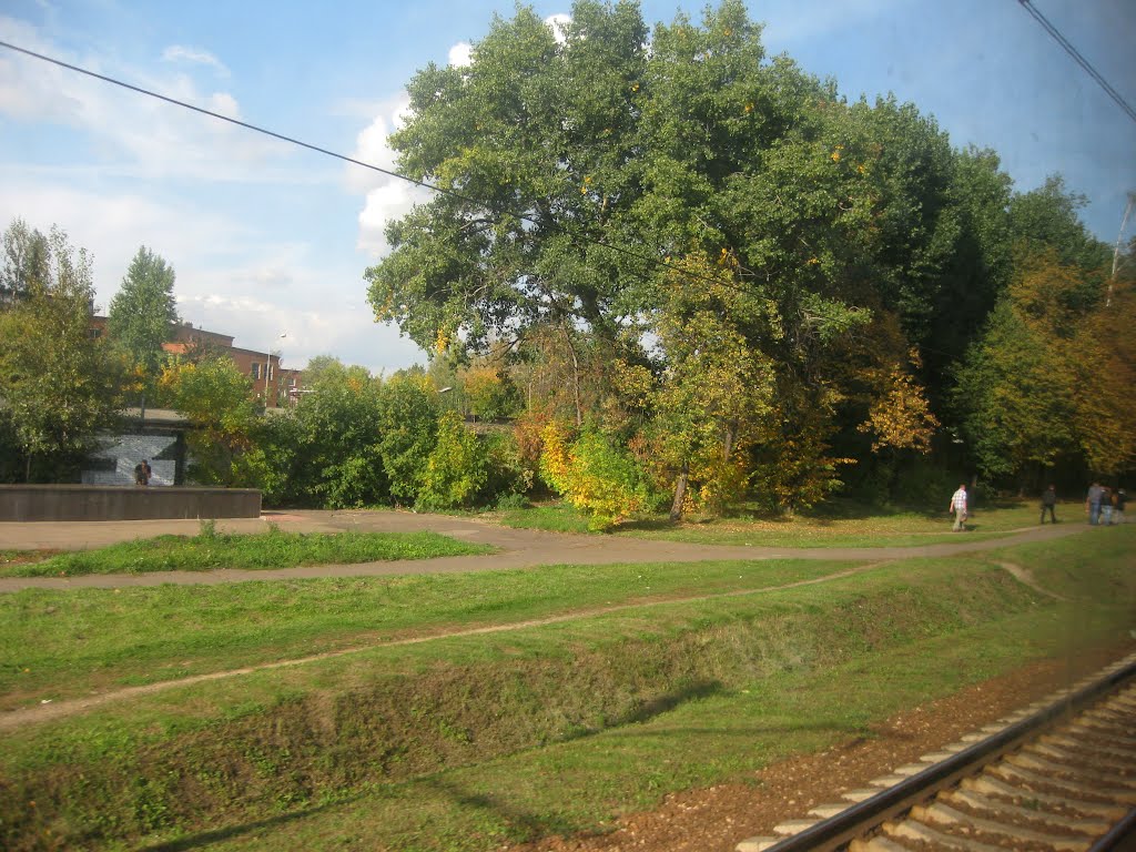 осенью 2012-го