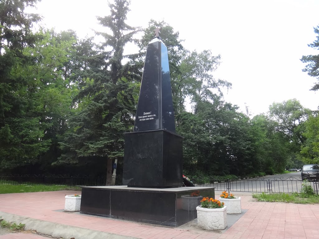 Памятник погибшим в ВОВ