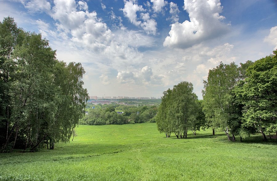 парк в Братцево