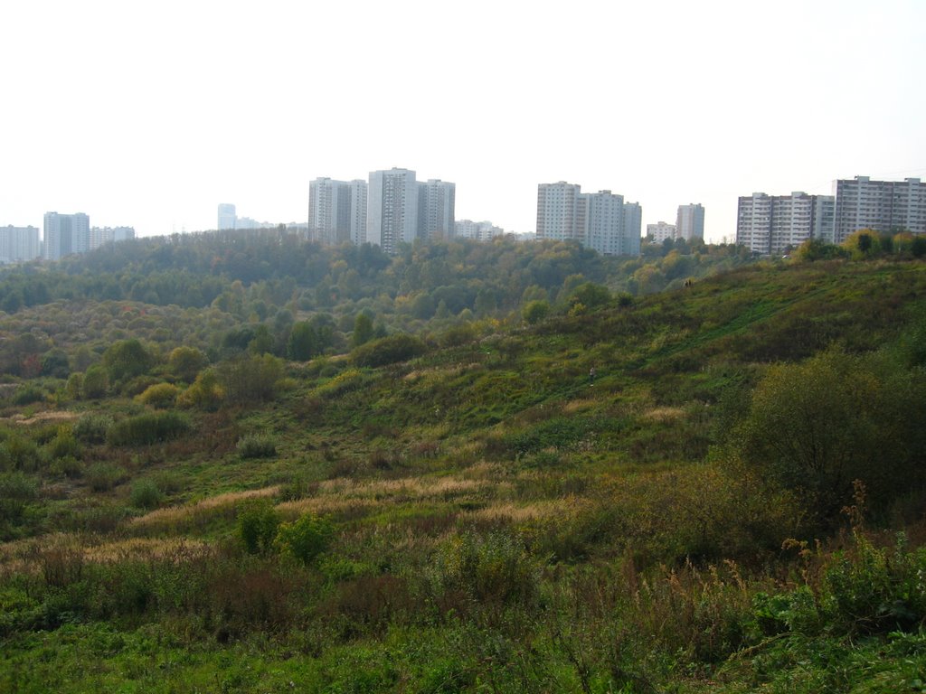 River Skhodnia bottomland 2
