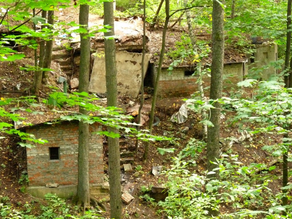 Непонятные руины в парке (бывшие хозяйственные постройки).