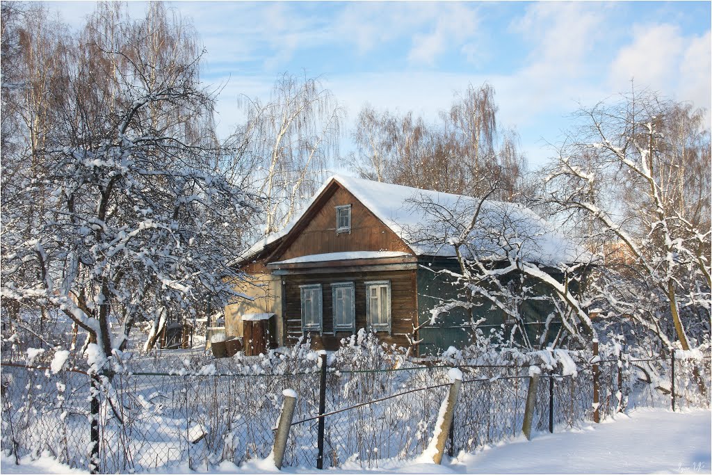 Winter in Moscow (Park Mitino)
