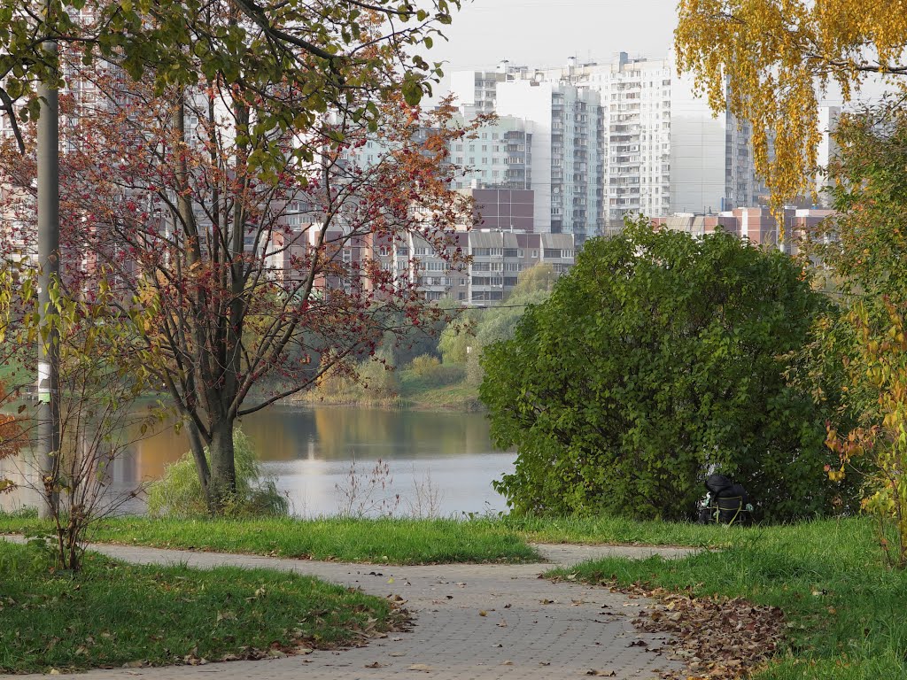 Penyaginskiy pond, Mitino, Moscow