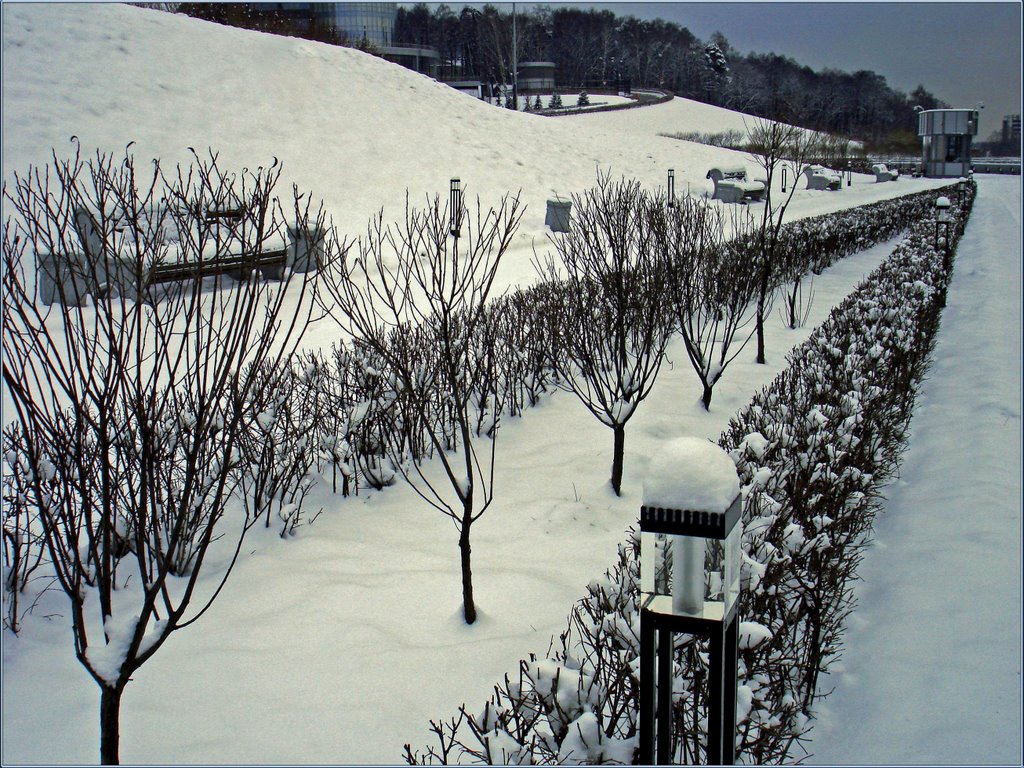 Зимняя перспектива / Winter Outlook
