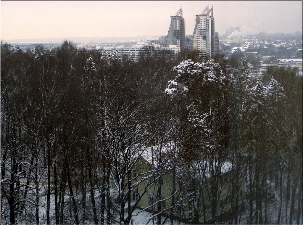 Зимняя панорама Красногорска из Дома Правительства Московской области / Winter panorama of Krasnohorsk from the House of Moscow Region Government