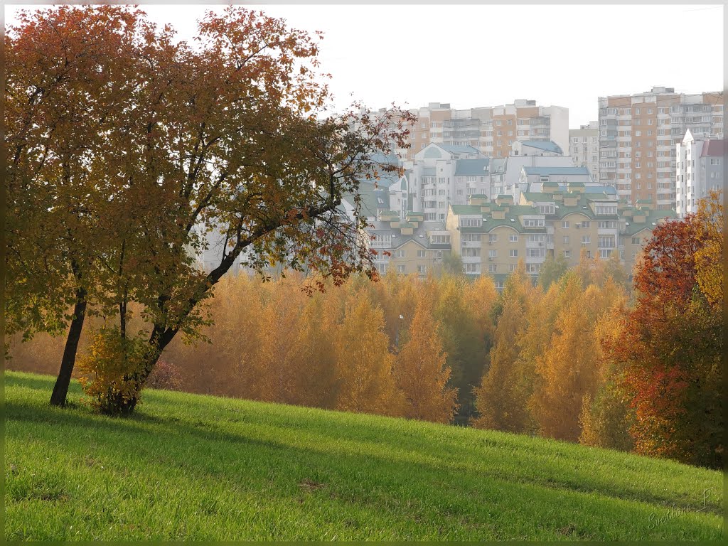 Fall in Mitino, Moscow