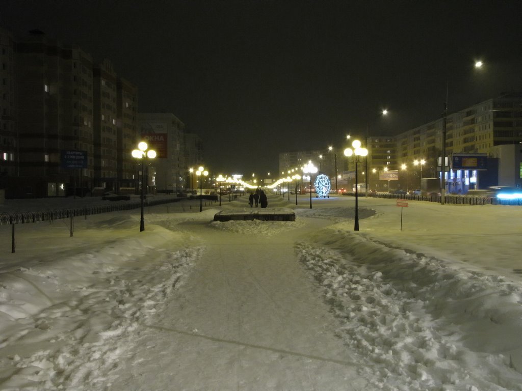 Winter night
