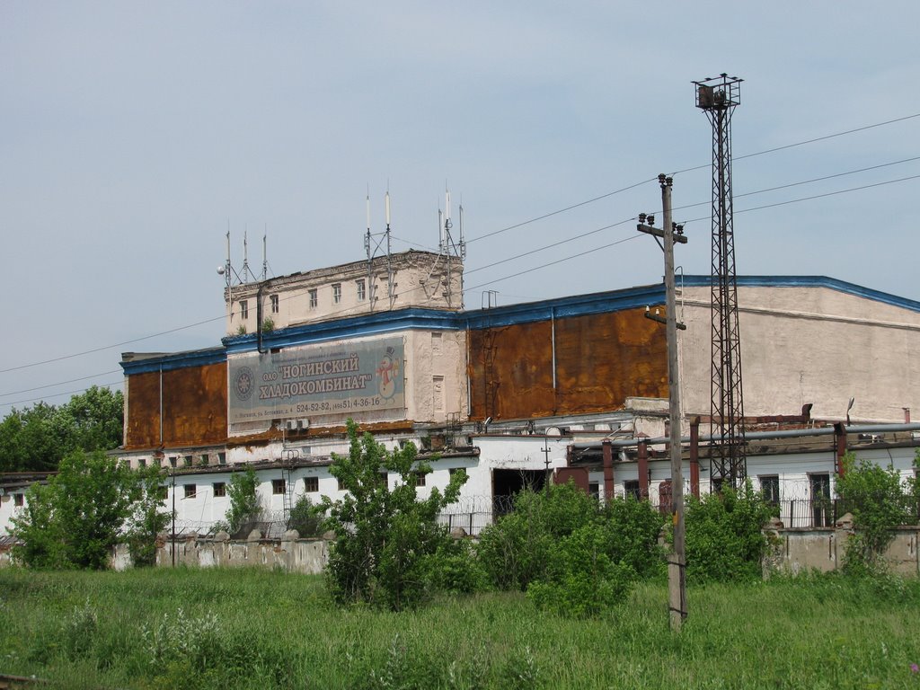 Ногинский хладокомбинат