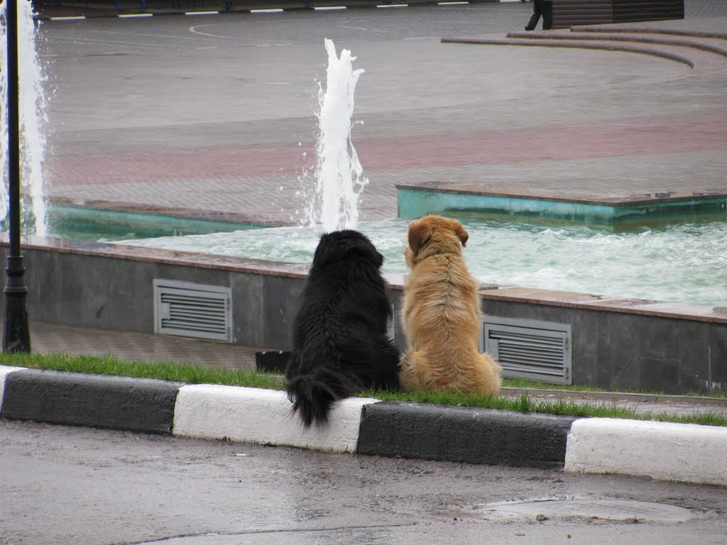 Родные души