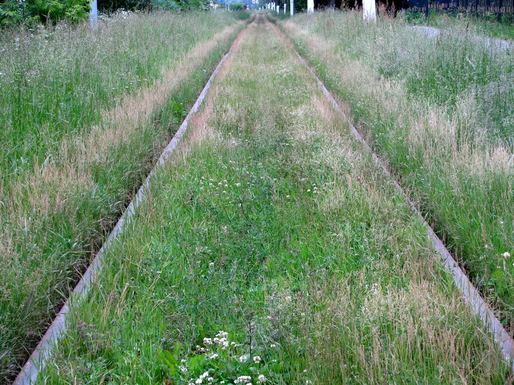 рельсы