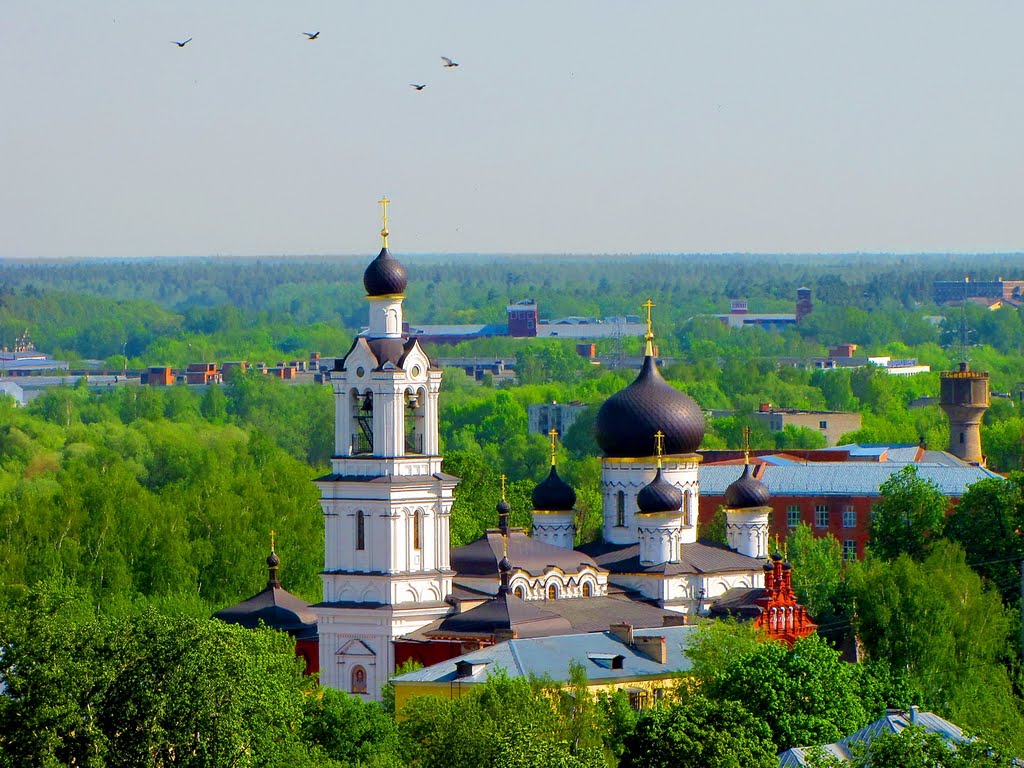 Pigeons over Domes