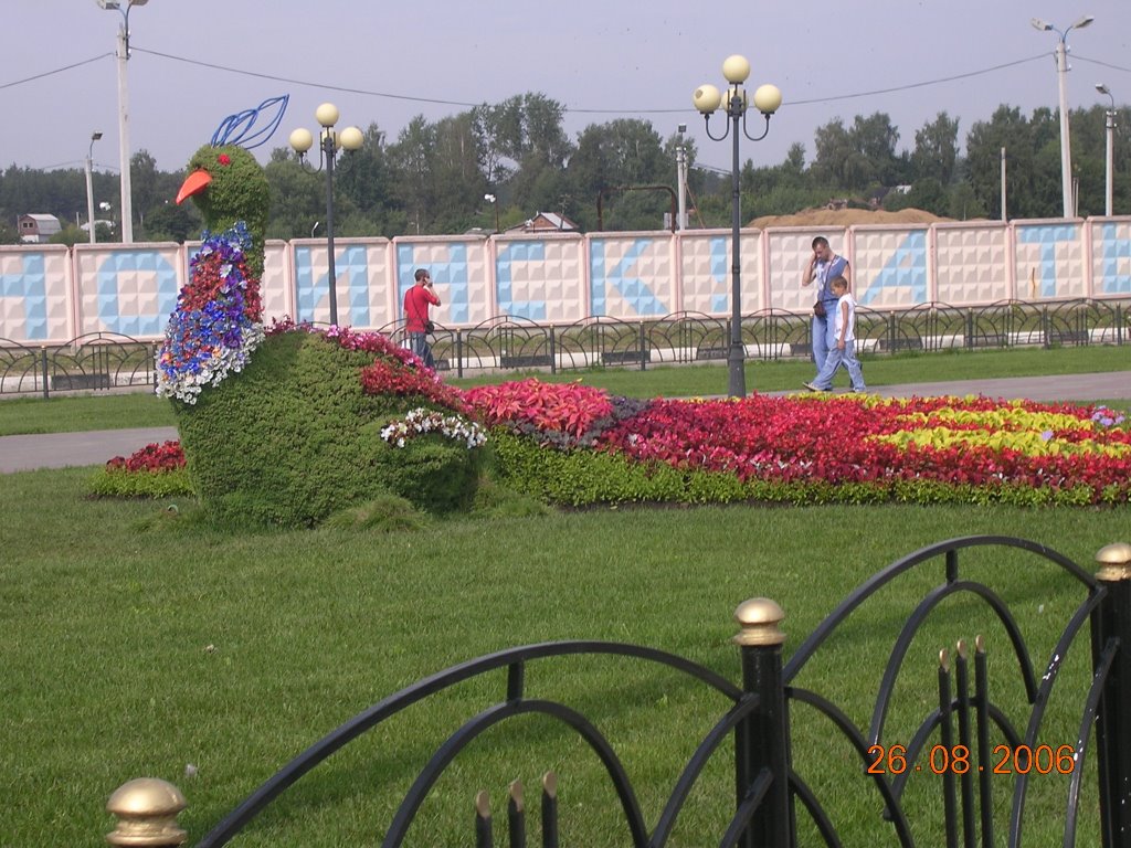 Ногинск летом