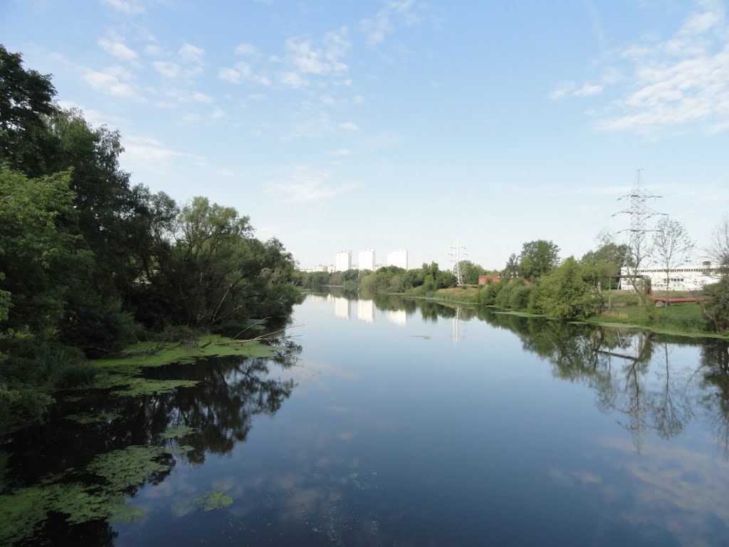 Ногинск