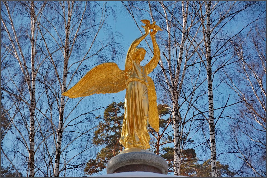 Ногинск. Добрый Ангел Мира