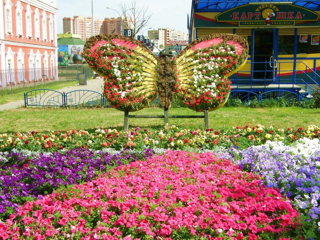 Клумба с гигантской бабочкой на Можайском шоссе.
