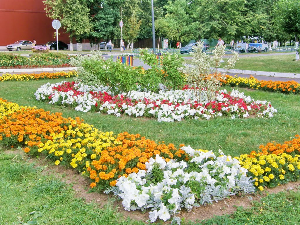Клумба перед торговым центром на улице Неделина.