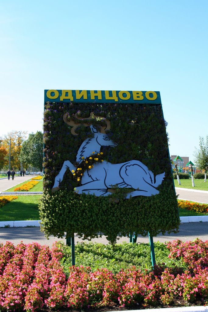 Odintsovo emblem