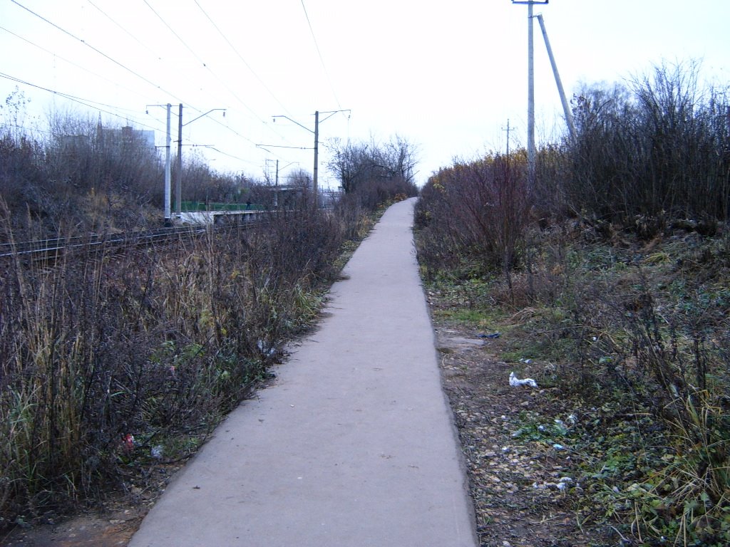 Тропинка к платформе (www.lutchezar-yasenev.ya.ru)