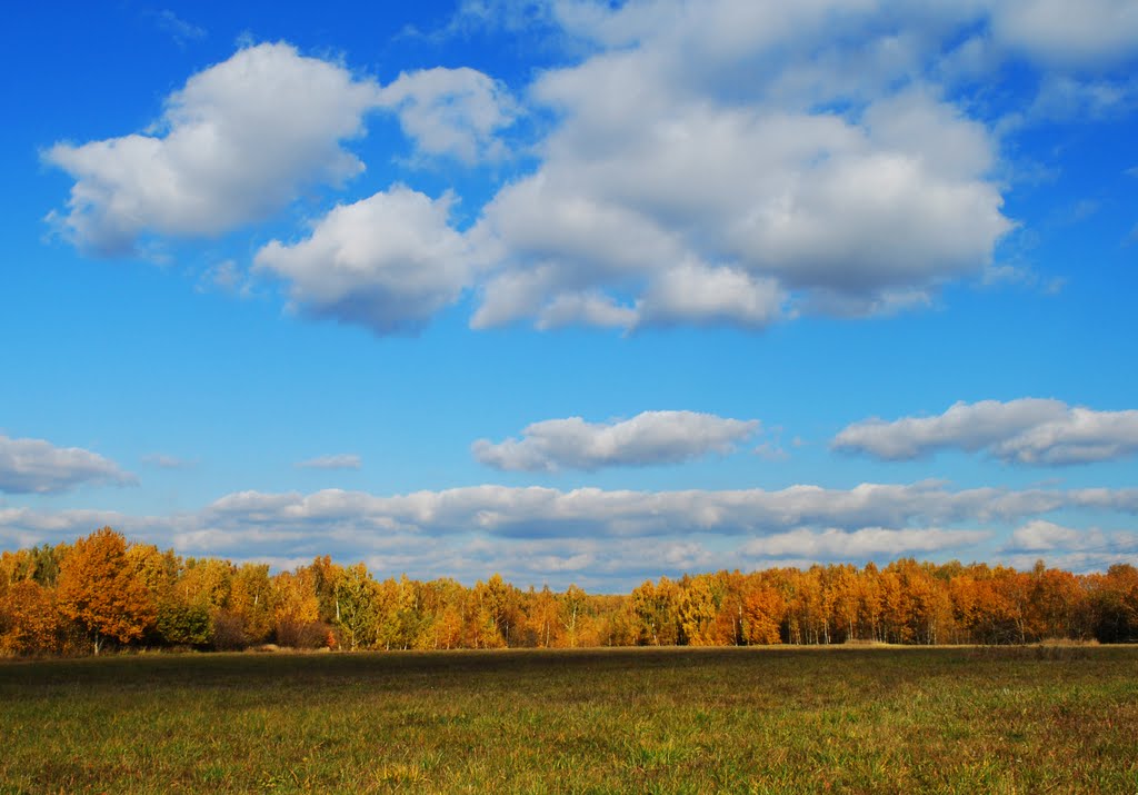 sunny autumn day