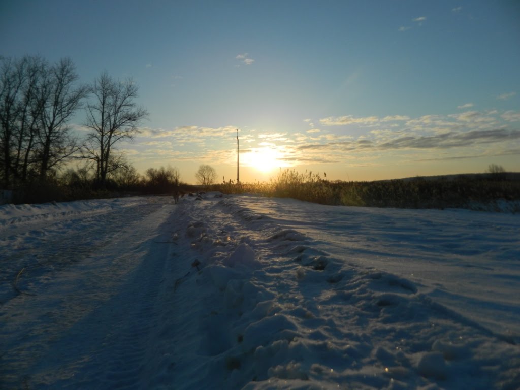 Весенняя заря