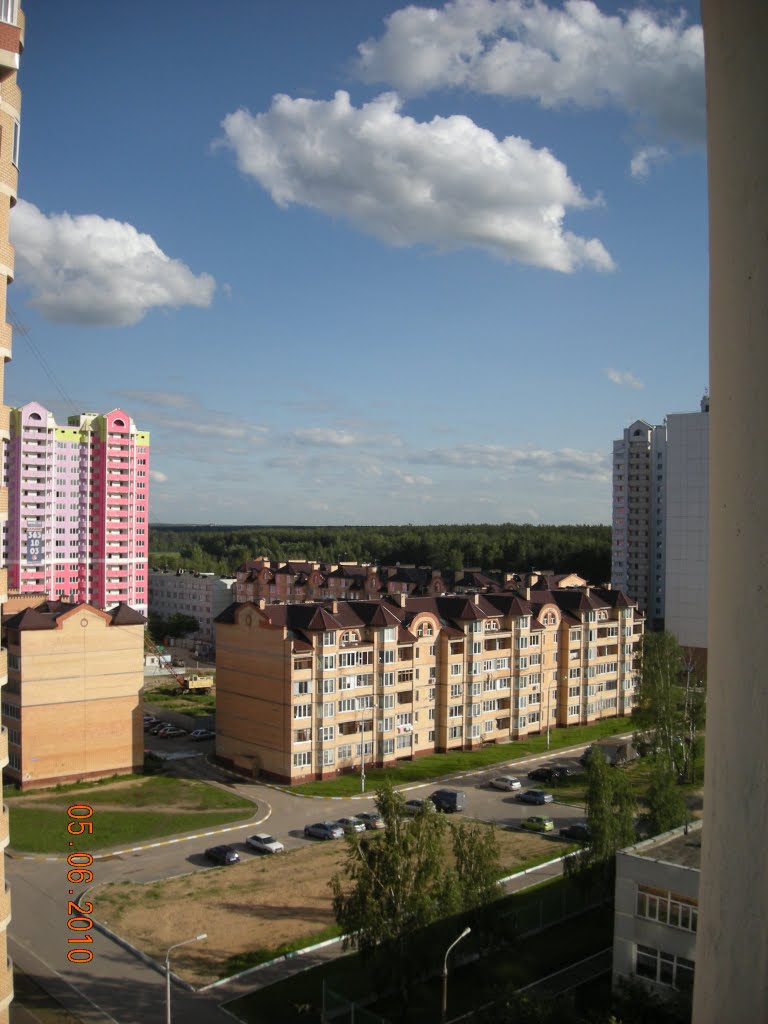 Вид из детской