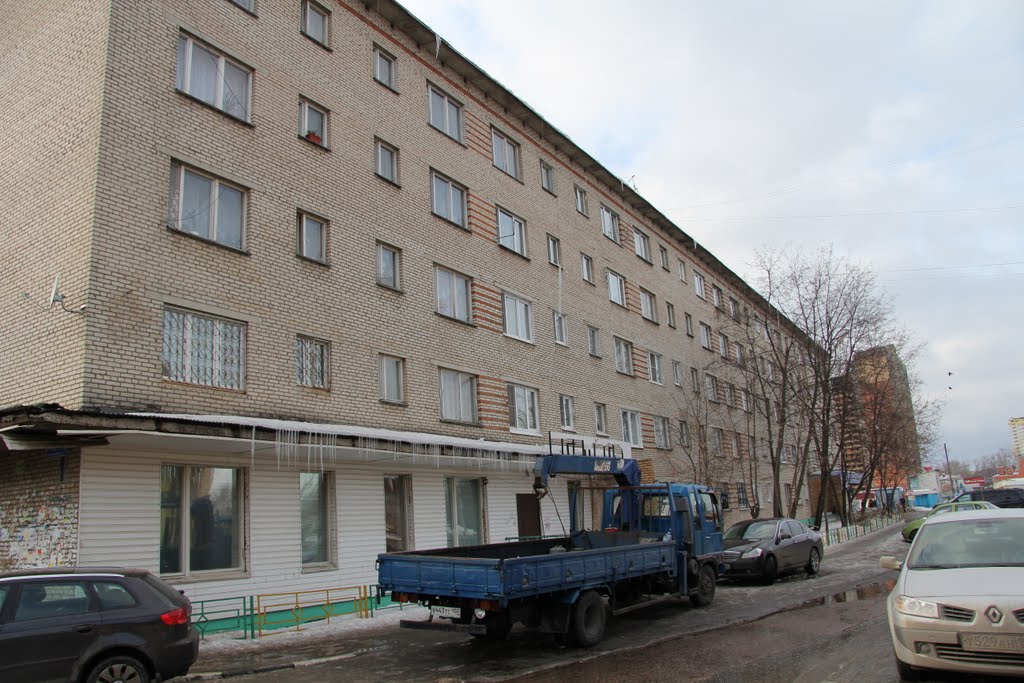 Дурдом