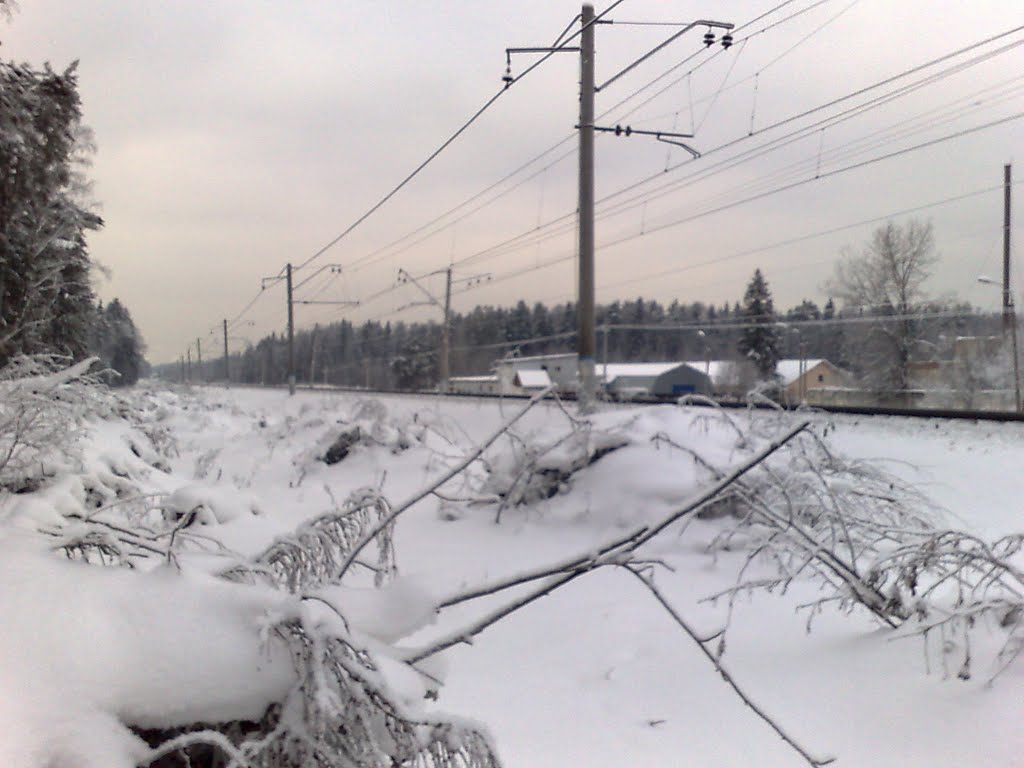 Из Москвы