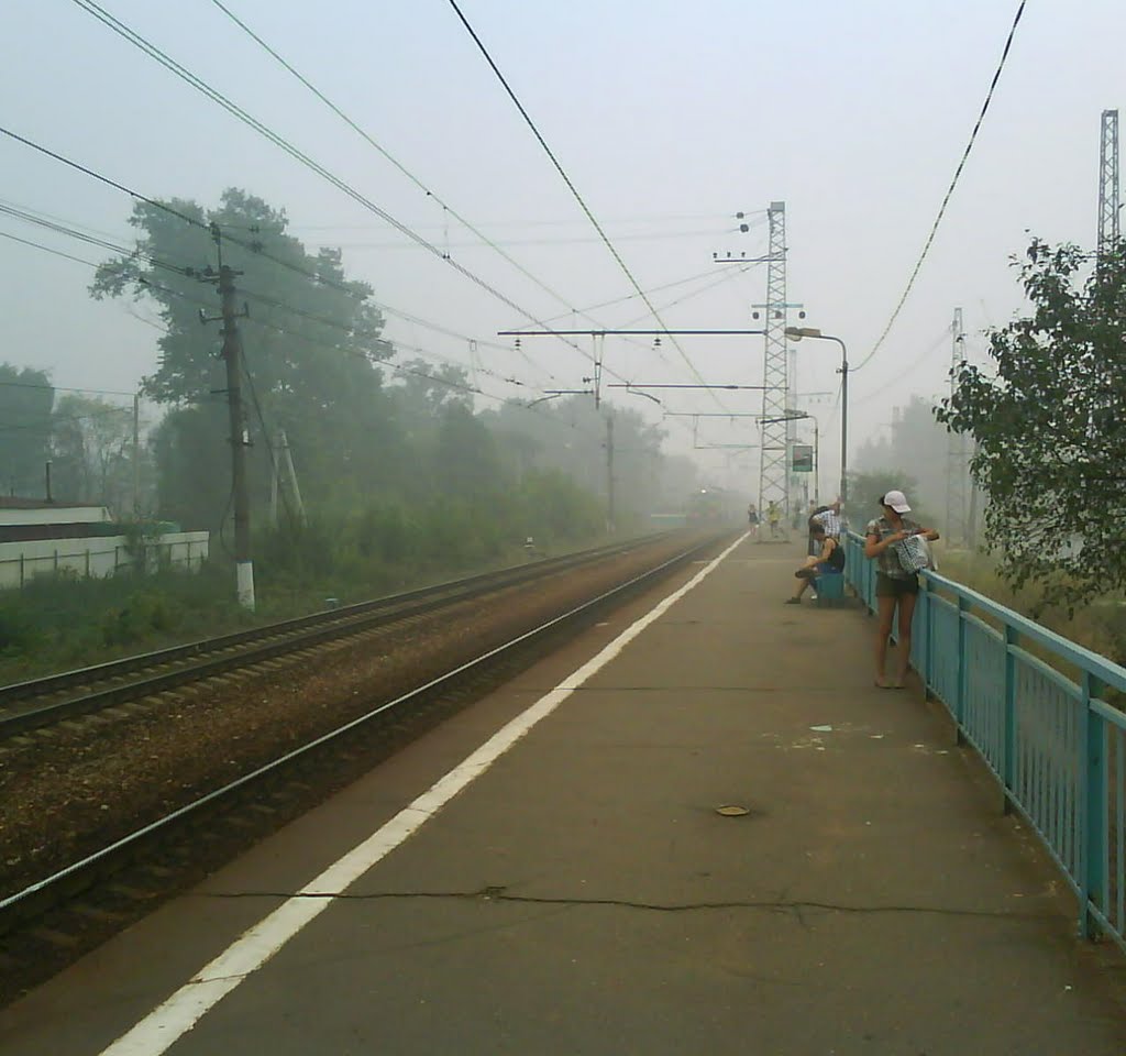 2010 год. Смог добрался и до Опалихи.