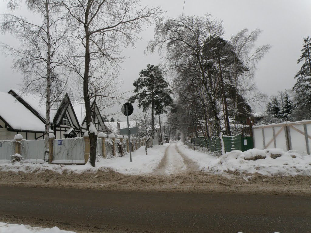 Опалиха. Челюскина улица. Cshelyuskina street