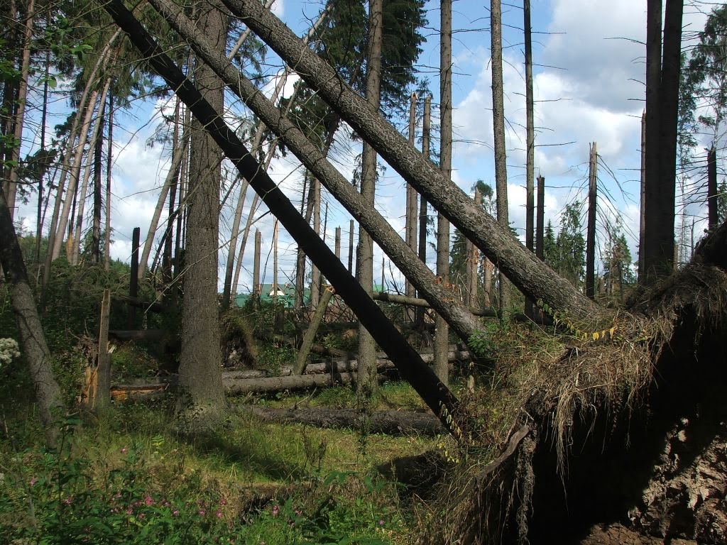 Ураган в мае 2009-го
