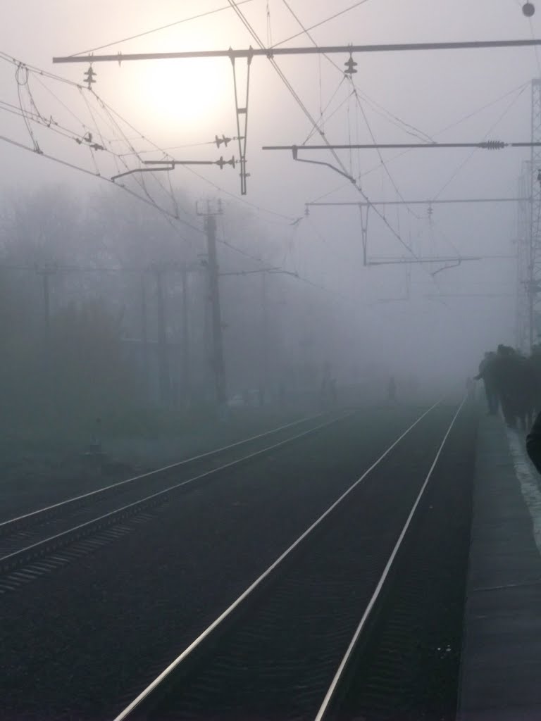 Осенний туман. Autumn fog