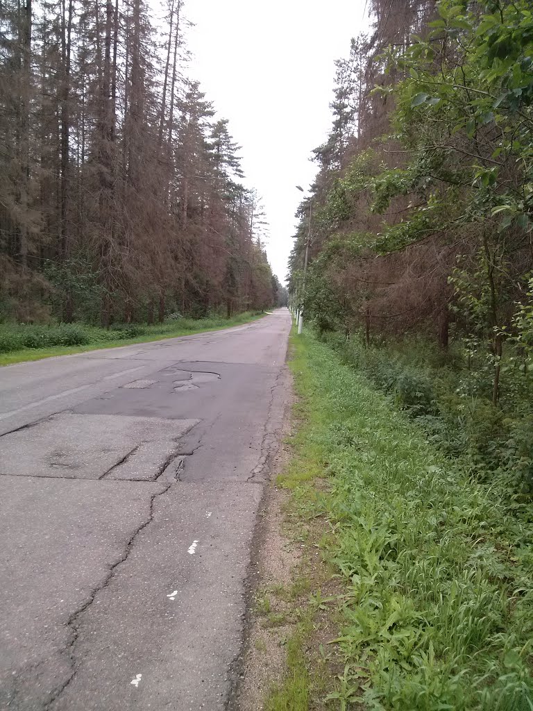 дорога к Moscow country club