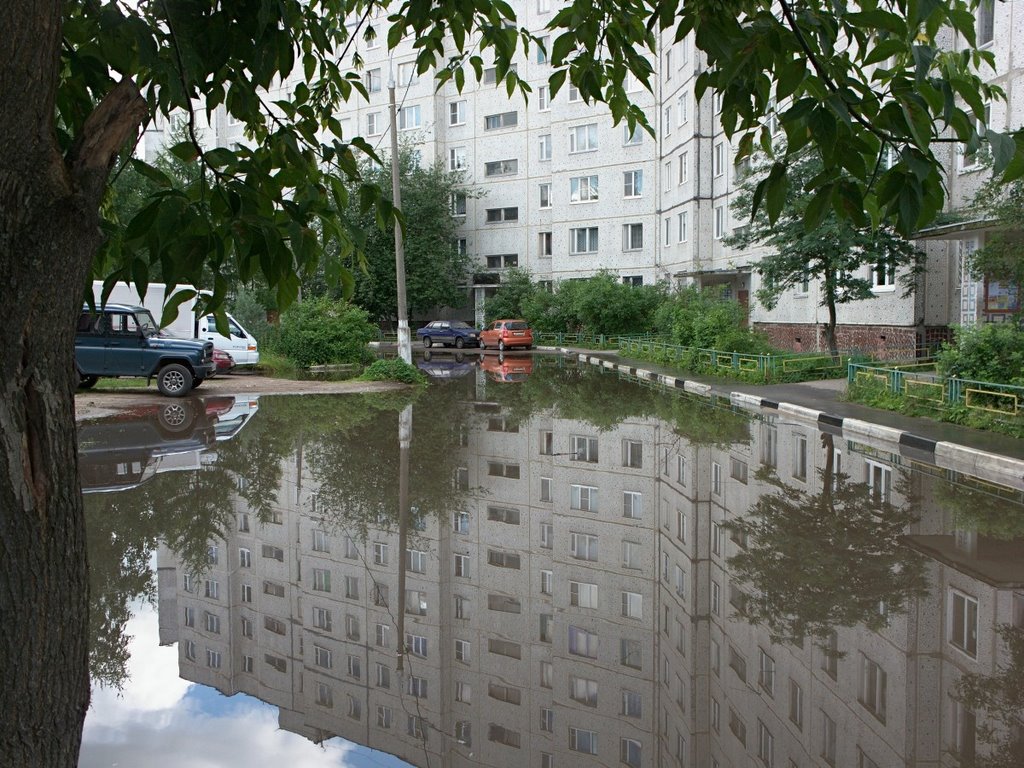 "Lake" (10, Volodarskogo street)