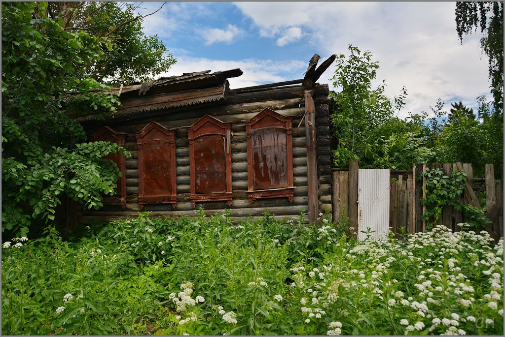 Павловский Посад. Остатки дома