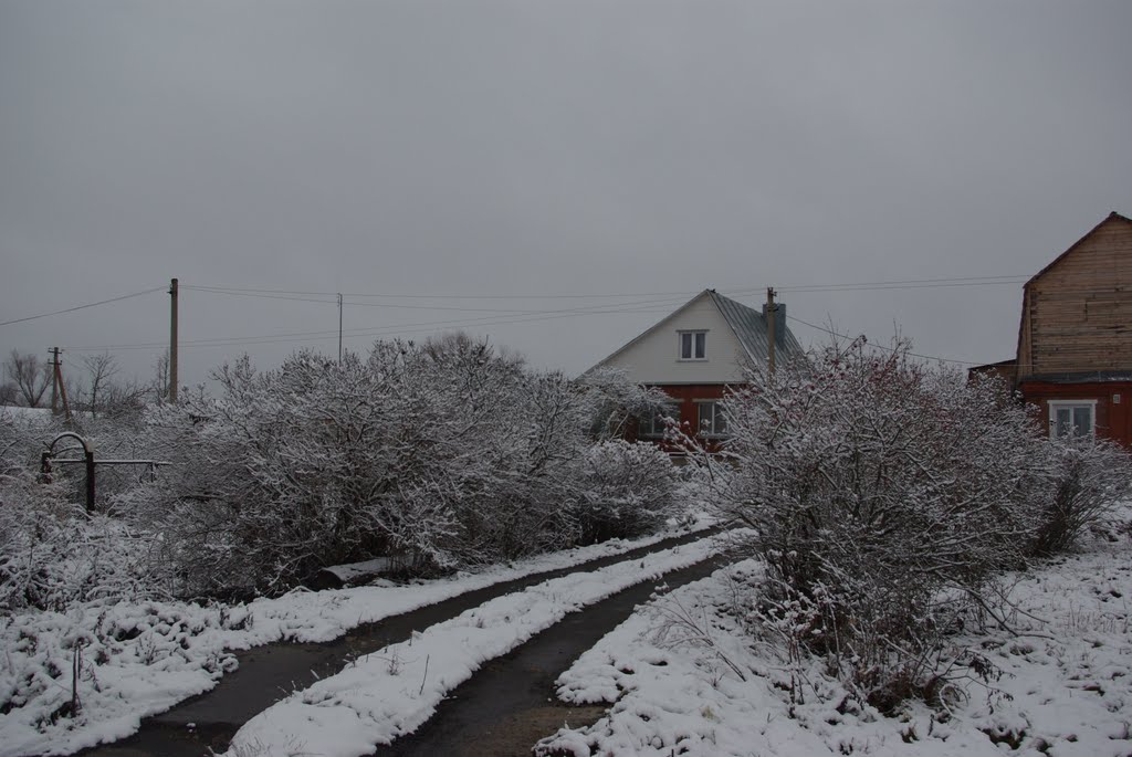 Пески. Первый снег