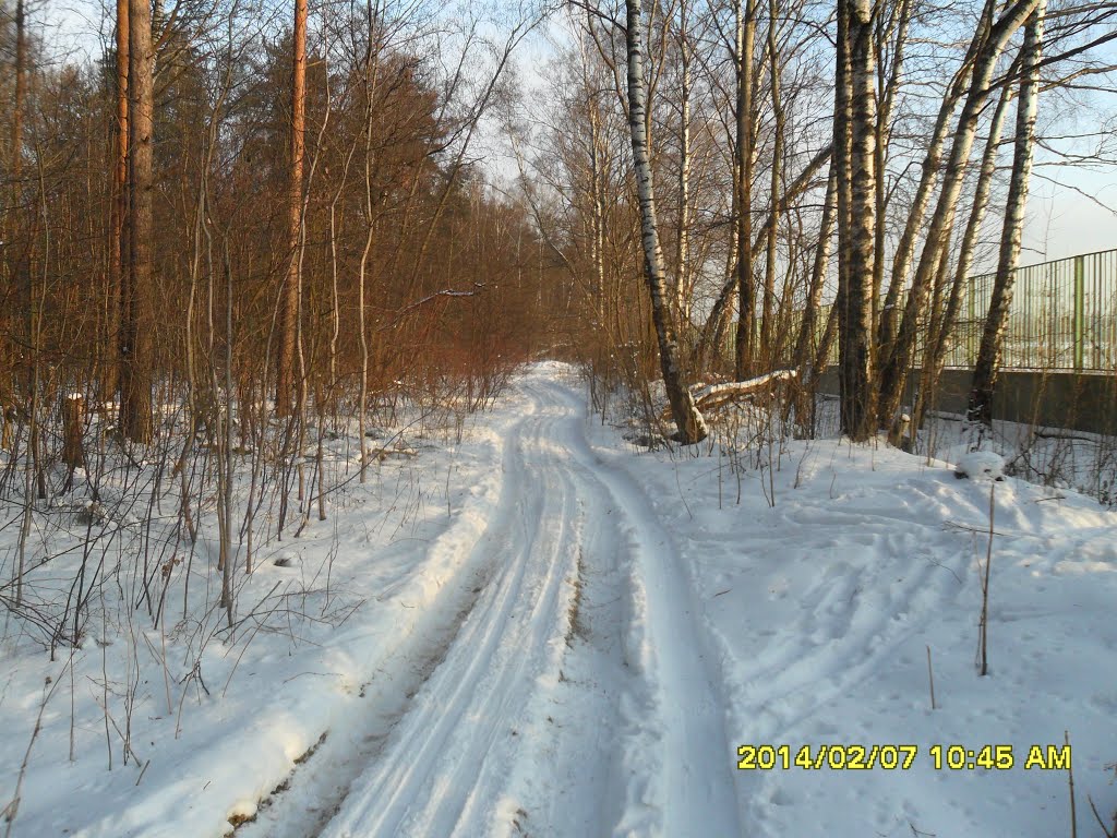 м