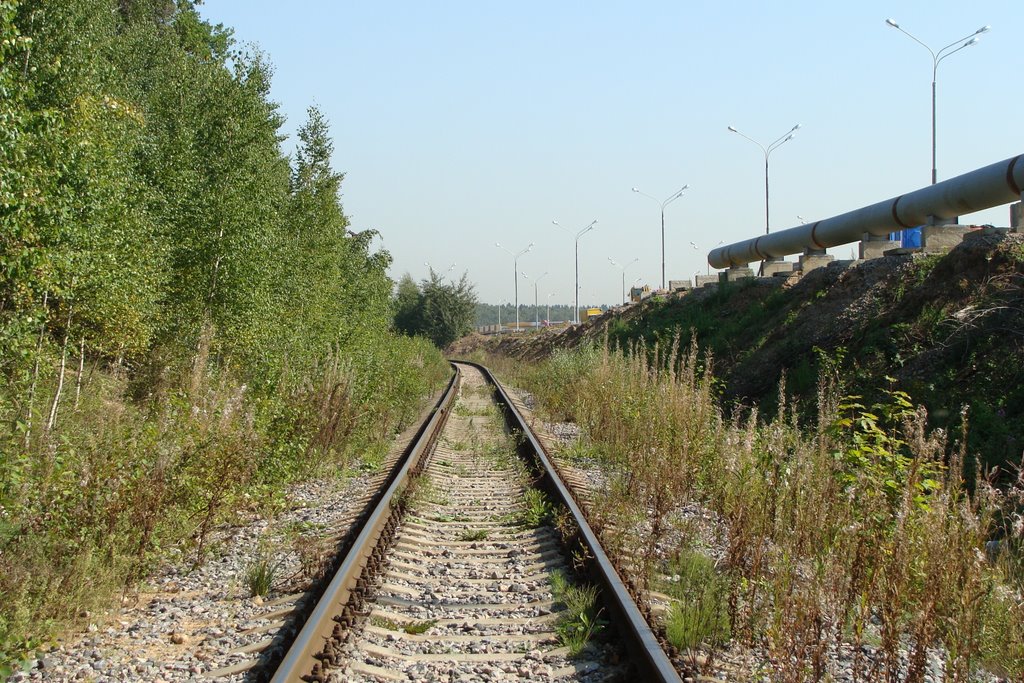 Мытищинский район, Московская область