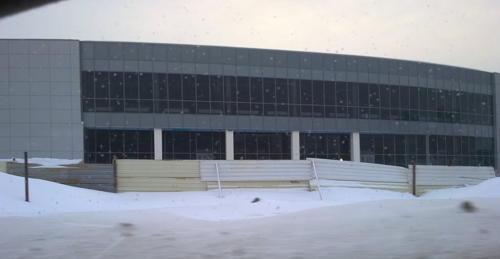 Hyundai Kvist