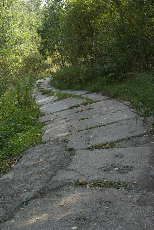 плитовая дорога